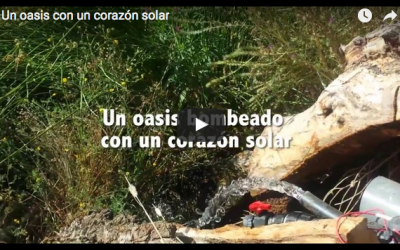 Un oasis con un corazón solar: el humedal que recupera la biodiversidad