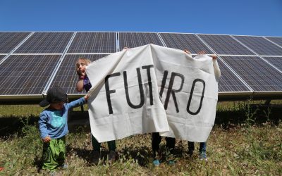 Invertir en la socialización de plantas es sostenible, ético y también rentable