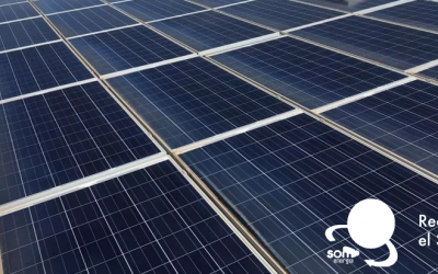 Recupera el Sol Madrid: nueva oportunidad de participación