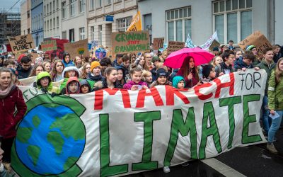 Hoy es el día internacional de la educación y más que nunca tenemos que educar en el respeto al planeta